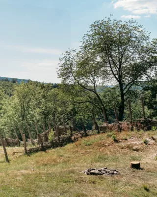 Tcheslé de Bérisménil © WBT - Charlotte Princen