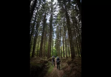  © WBT - Julien Libert / Sentiers du Phoenix